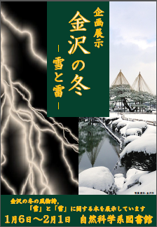 「金沢の冬-雪と雷-」ポスター